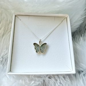 The Butterfly