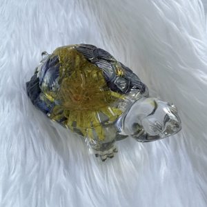 Tortoise
